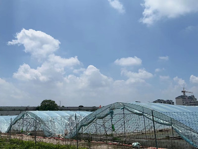 恩拓博高速增氧機(jī)上海使用案例！